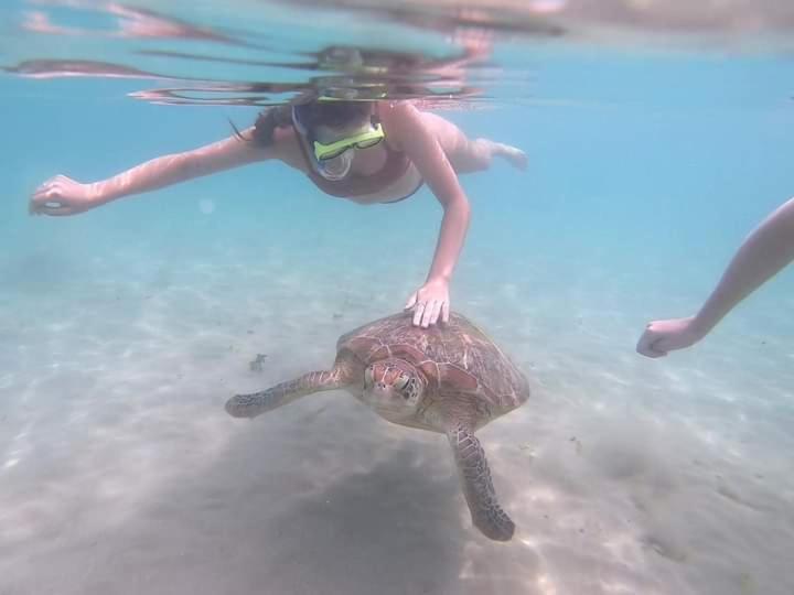 شقة Hiriketiya Mahi Surf ديكويلاّ تين المظهر الخارجي الصورة